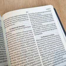 Bíblia Sagrada NVI Letra Gigante Capa Azul Semi Luxo Textura de couro - Imagem 5
