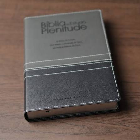 Bíblia de Estudo Plenitude RA - Com índice - capa Luxo Preto /Cinza - Imagem 3