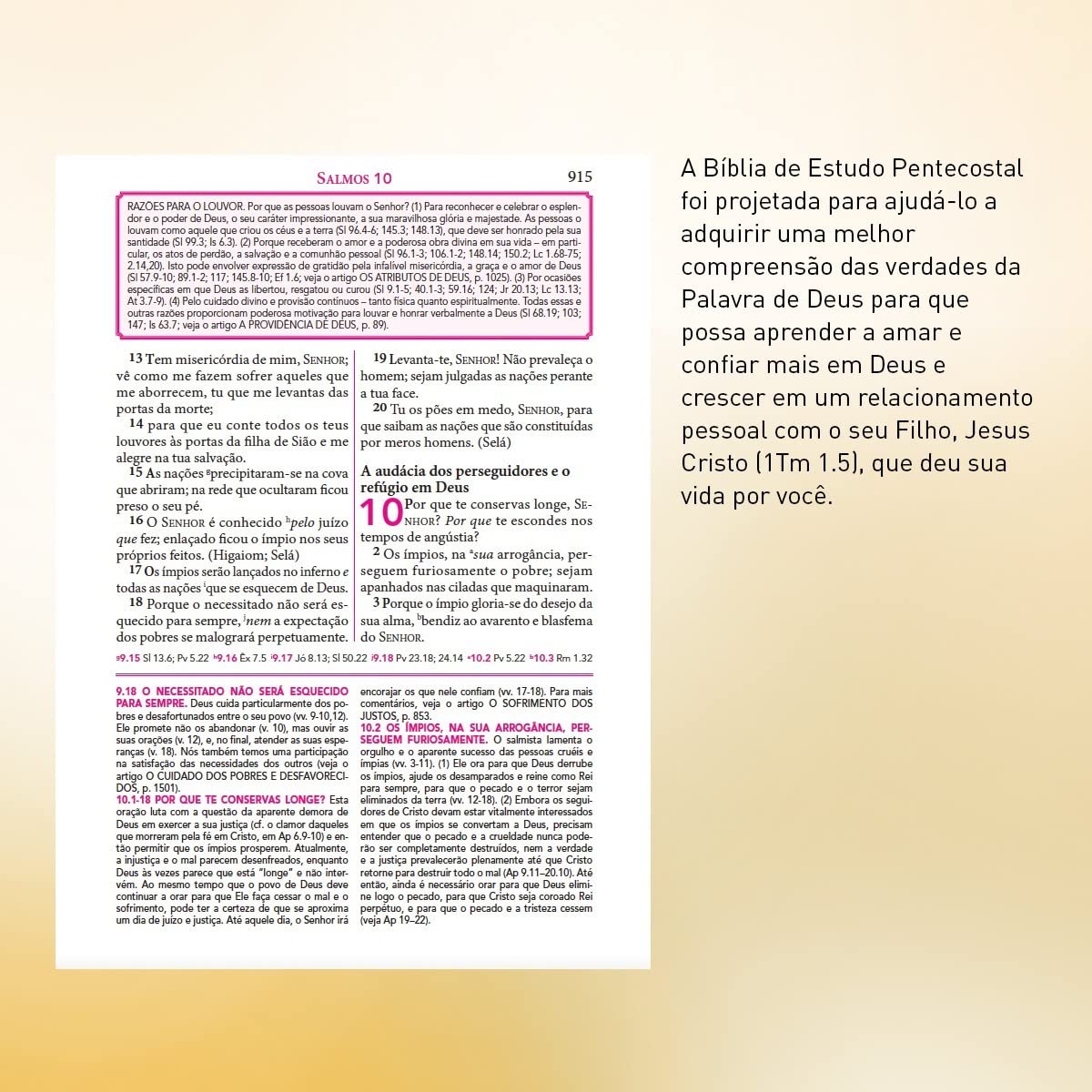 Bíblia de Estudo Pentecostal Grande Preta Edição Global - Imagem 5
