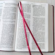 Bíblia Sagrada NVI - Letra Sênior - Capa Luxo Vinho - Leitura Perfeita - Imagem 4